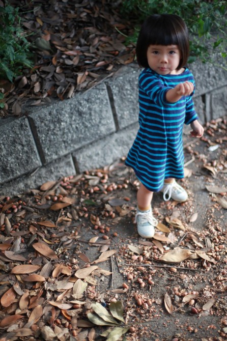１１月から禁煙になります。