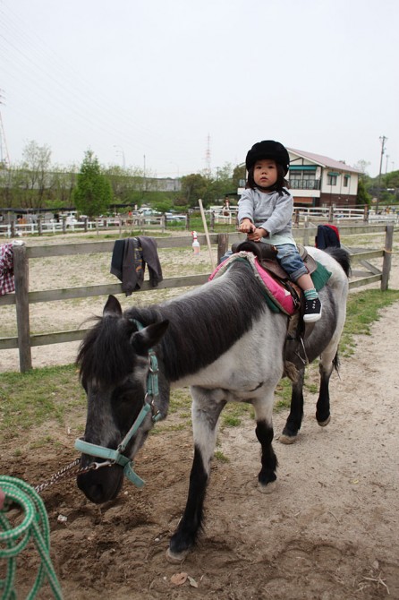 明日からは通常営業します。
