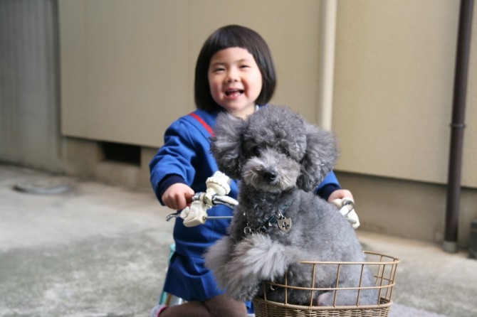 ３月のお休みと産休のこと