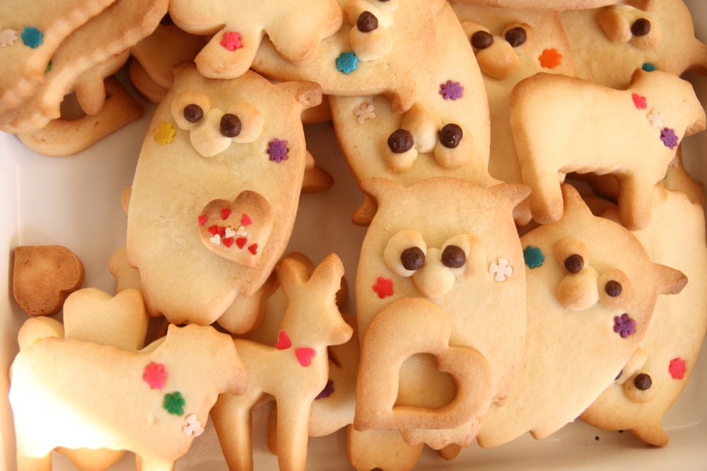 おせわになりました。クッキー。