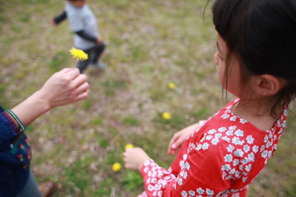 ５月のケーキが作れる日