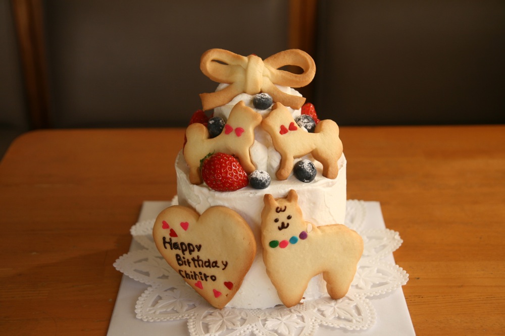 １２センチ２段