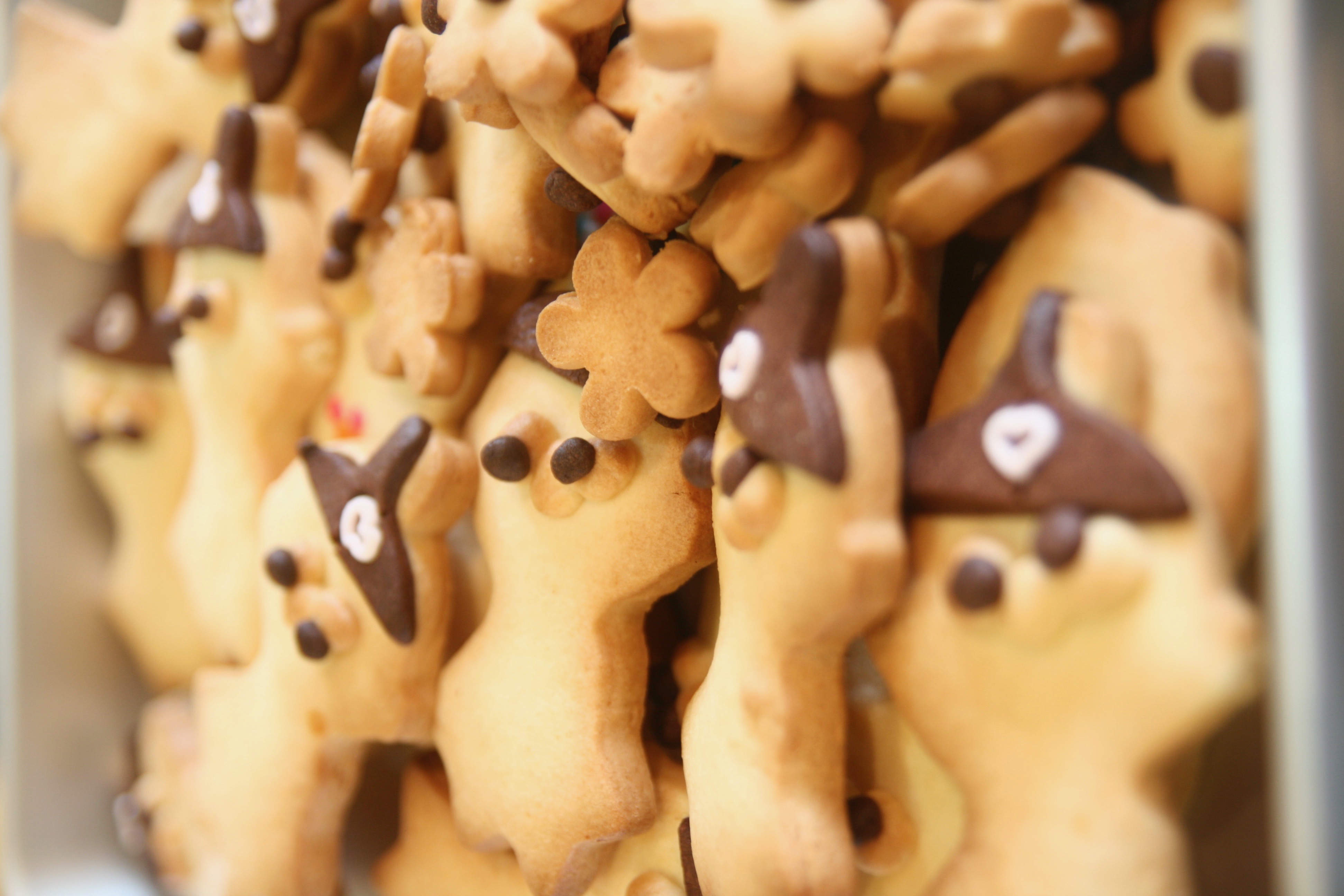 スノーボールとミー