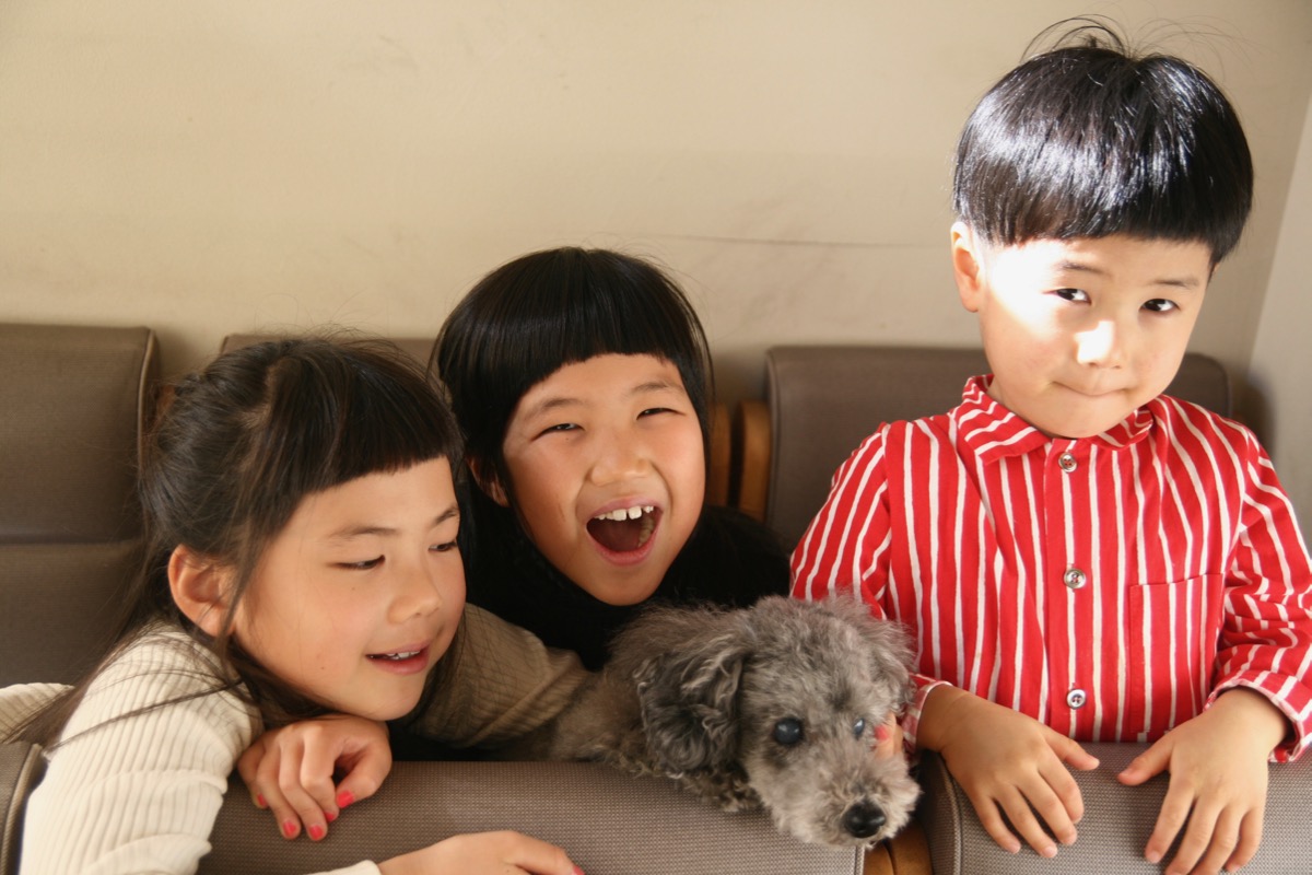 あけましておめでとうございます。