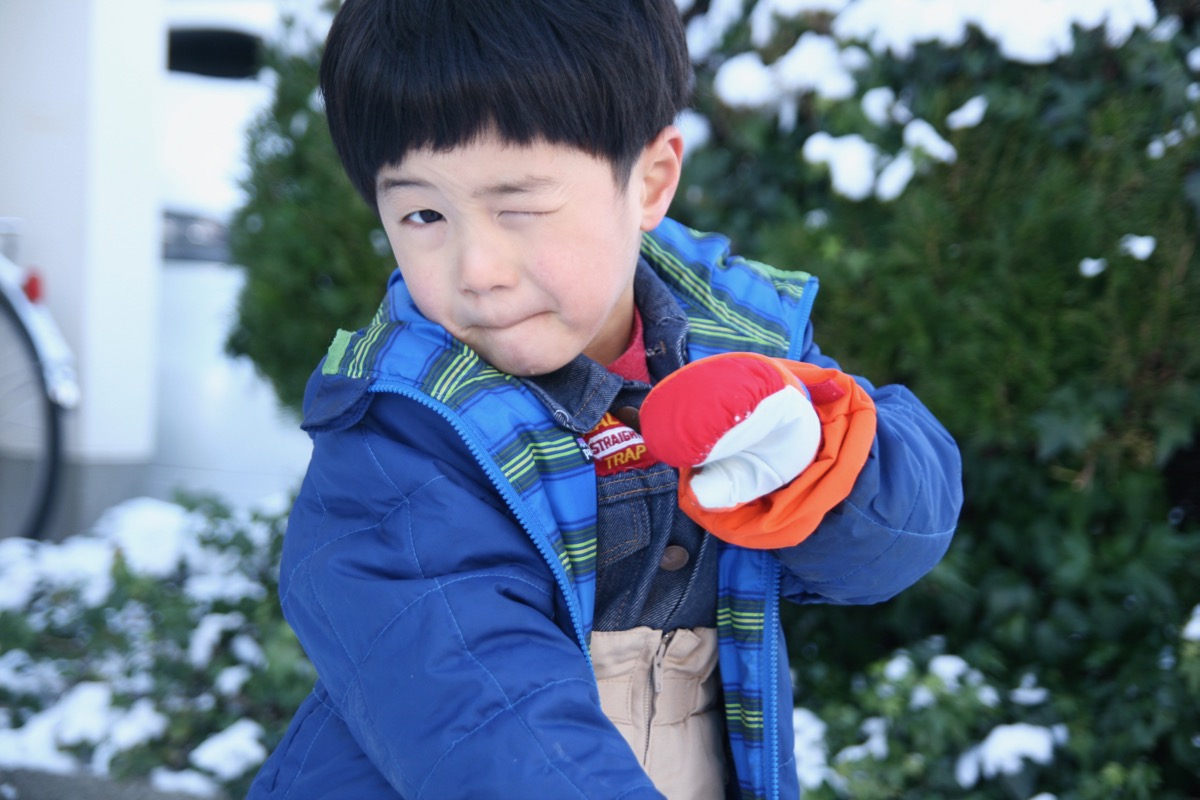 ２月のケーキが作れる日と営業日