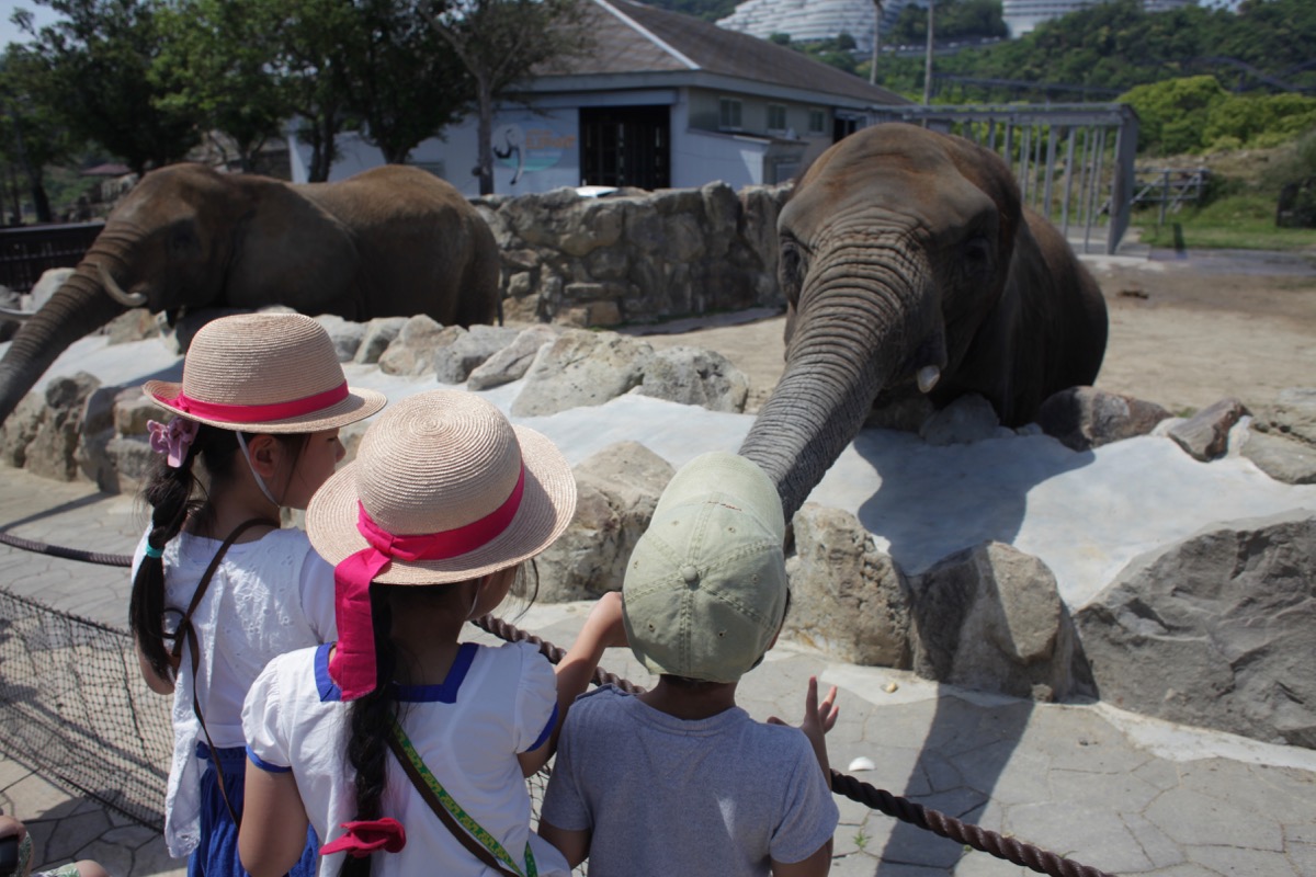 ５日から通常営業しています。