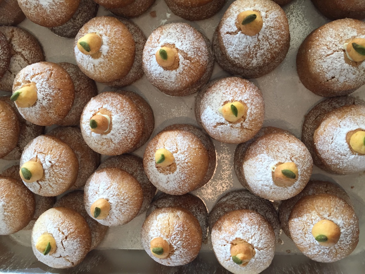 ２８日、本日ランチお休みです。