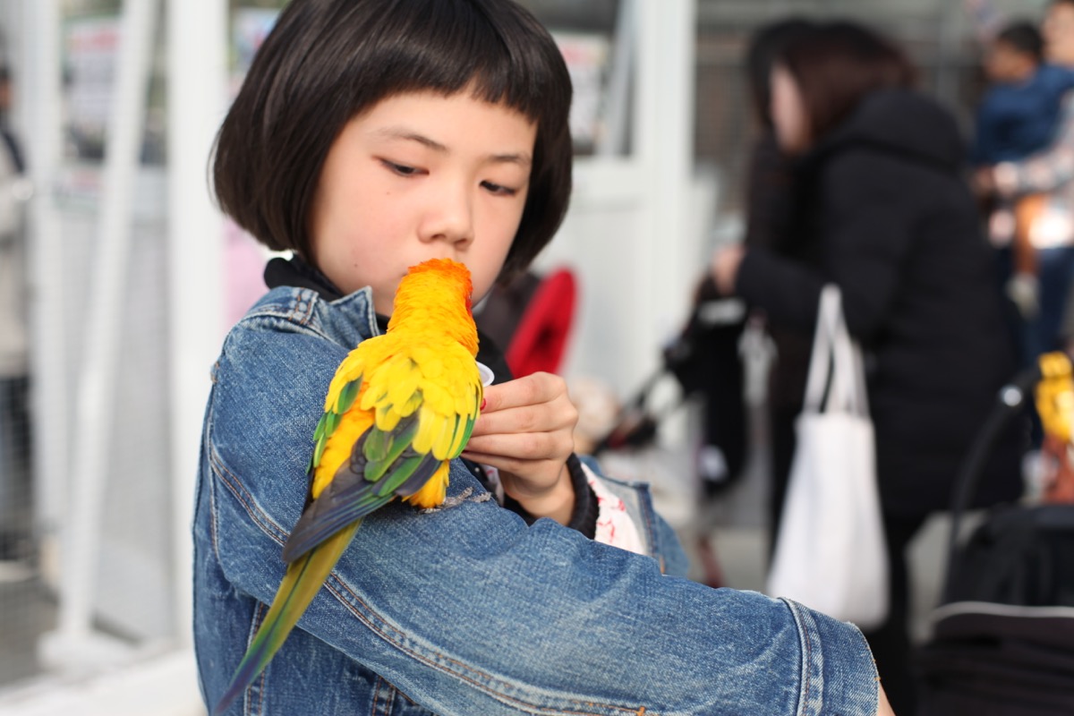 4月29日から5月3日までお休みします。